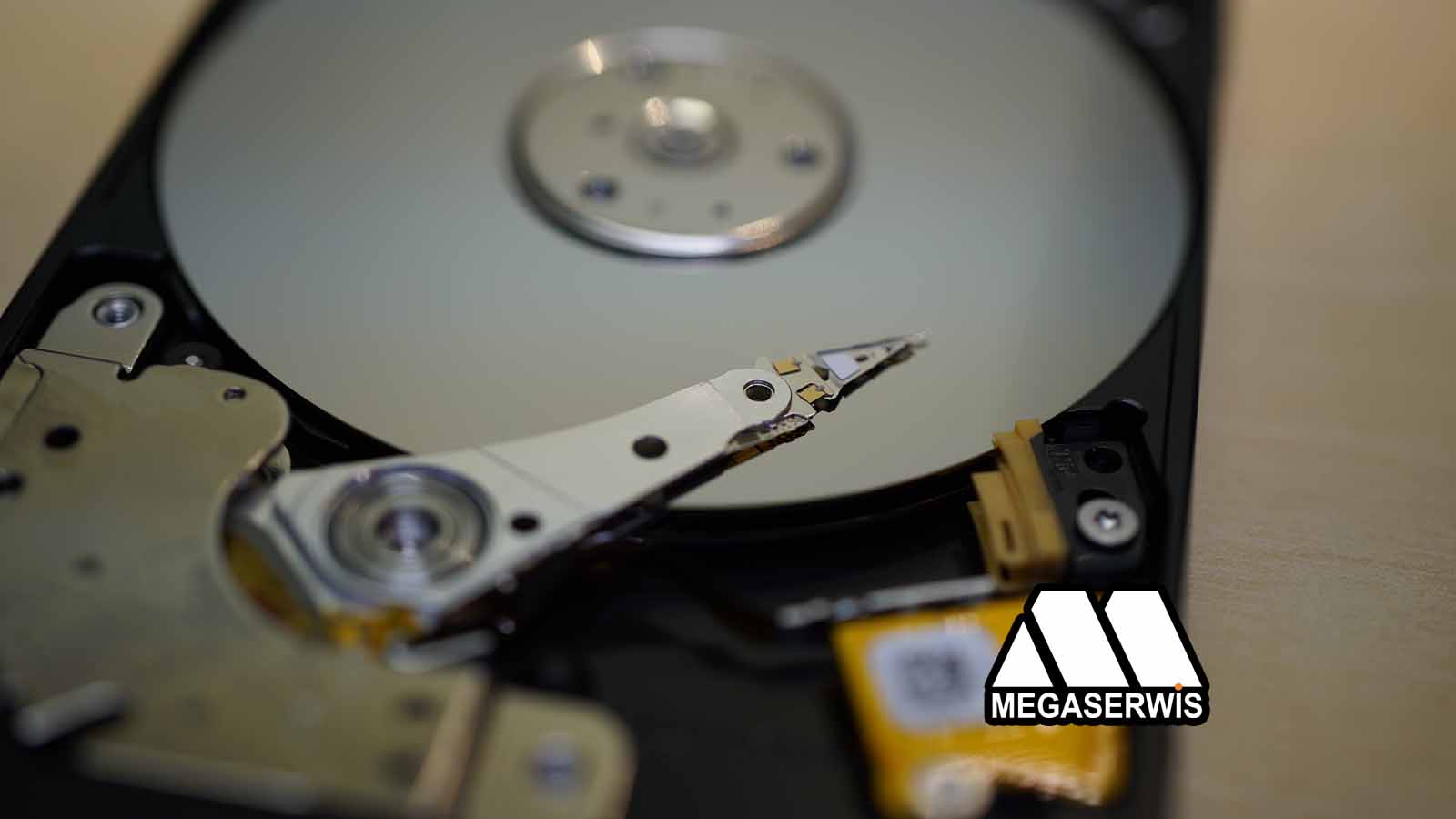 odzyskiwanie danych z dysku Seagate ST1000LM035