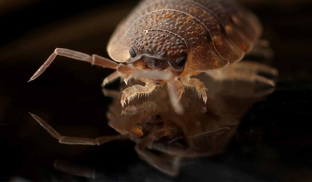  Włamania typu ransomware na serwery NAS 